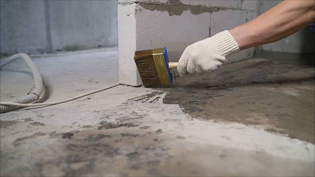 SJ Waterproofing Pros Waterproofing coverage map for Alden, NY and surrounding area